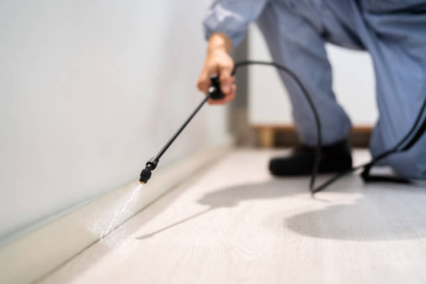 Licensed Pest Control service in Addis, LA - Show Me Pest Control