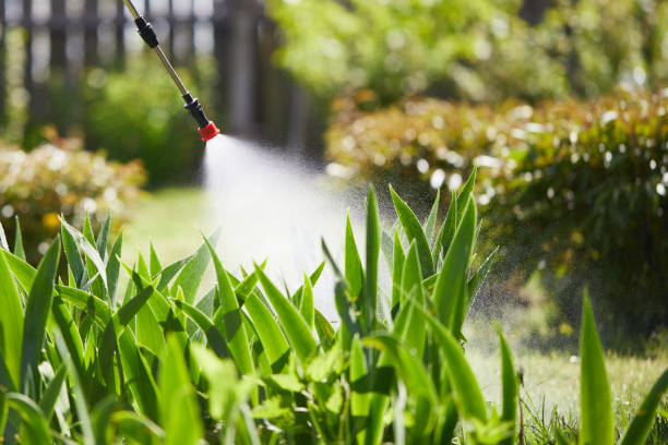 24/7 Emergency Mosquito Control experts in Addis, LA