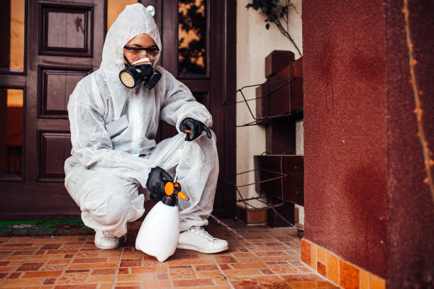 Reliable Mosquito Control contractor in Addis, LA by Show Me Pest Control
